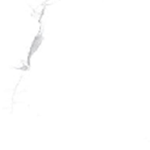 KAPAK 21.E.360.9169
